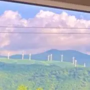 フレンチバニラの画像
