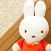きーちゃんの画像