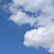 aruの画像