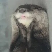 キャジー