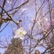 さら【匿名配送】の画像