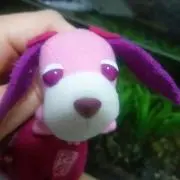 γ-cosineの画像