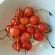 cherry