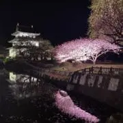 おかでぃー