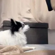 まーちゃん