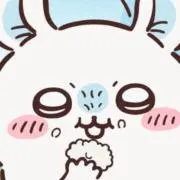 R プロフ必読の画像