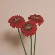 はな
