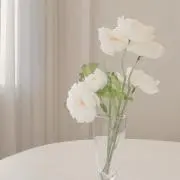 ⭐︎の画像
