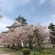 あおい