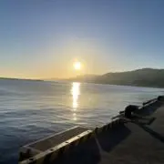 maaの画像