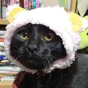 うめの画像