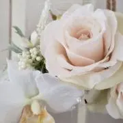 花心の画像