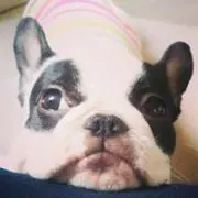 mini☆プロフご覧ください♪