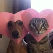 ‎^_^の画像