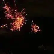 ぬぬの画像
