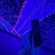 みの画像