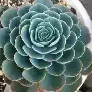 MIのハウスの画像