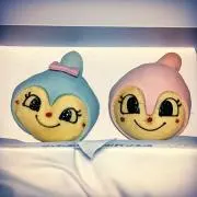 ぽんいりの画像