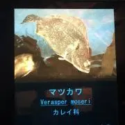 まつかわ