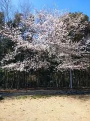 ノリ