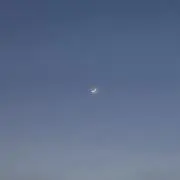 Riの画像