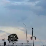 yの画像
