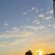 sanの画像
