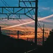 焼き鮭の画像