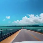 うどんちゃんの画像