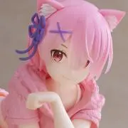 S,SRの画像