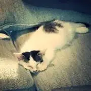 やかん