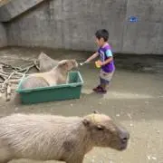 れいの画像