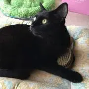 きなこ☆ プロフ読んでね⋆˚✿˖°の画像