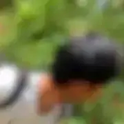 ひろの画像