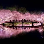やまつかの画像