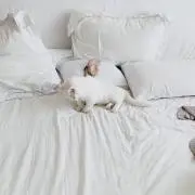 chanの画像