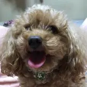 ︎♥снасна♥·ᴥ·♥