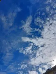 emaの画像