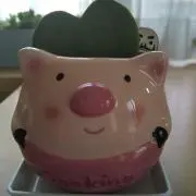 Chiuriの画像