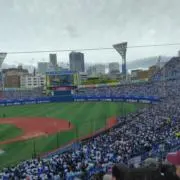 ベイファンの画像