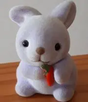 midoriの画像