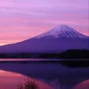 FUJIの画像