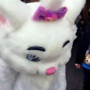 にゃんこ❤︎