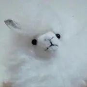 よっさんの画像