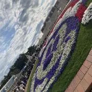 ブルドーザーの画像