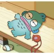 yuniの画像