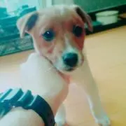 あっくん(^^;;