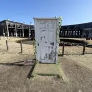 まさの画像