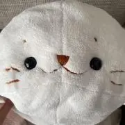 おもちの画像