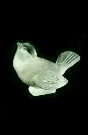 福良雀